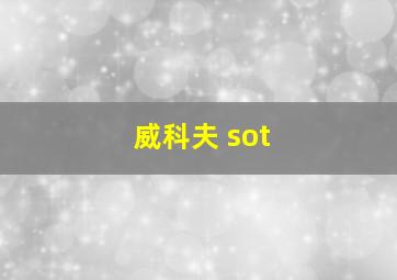 威科夫 sot